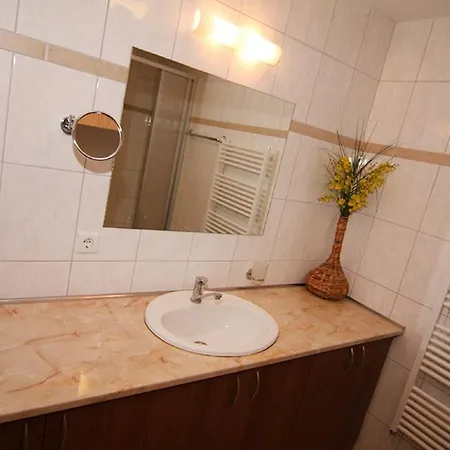 Mountain View 公寓 *