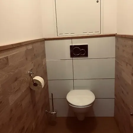 Apartament Mountain View Piesendorf